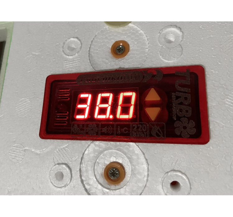 Инкубатор автоматический Рябушка Турбо 130-R (роликовый, цифровой)