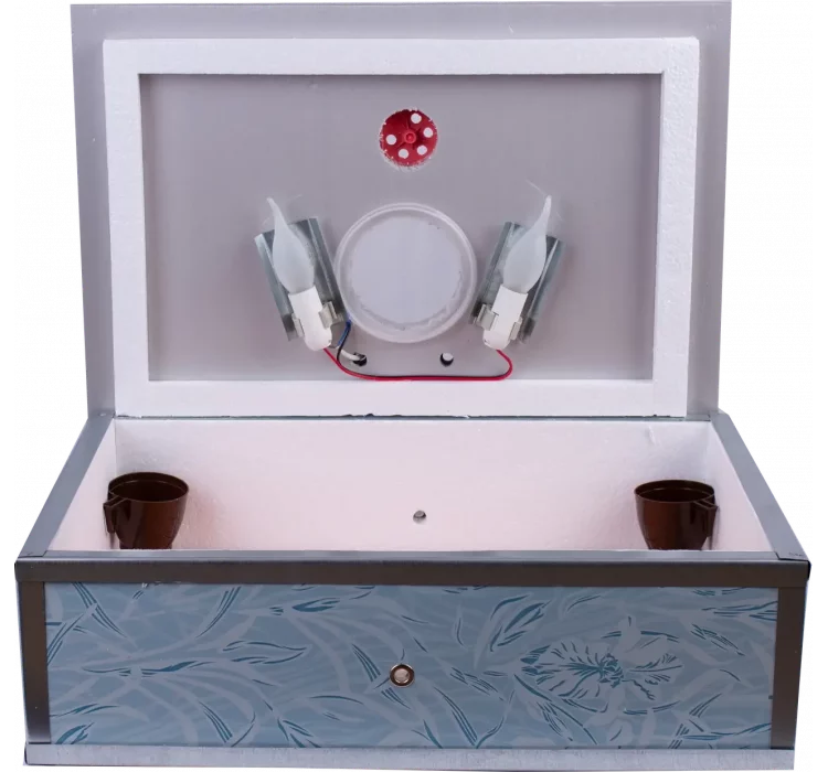 Інкубатор механічний Насідка 70 (аналоговий, в пласт. корпусі)