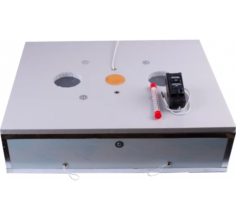 Інкубатор механічний Насідка 140 (аналоговий, в пласт. корпусі)