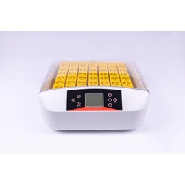Инкубатор автоматический HHD 56S PRO LED